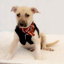 Thumbnail photo of Egbert #4