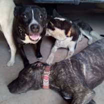 Thumbnail photo of Myra #1