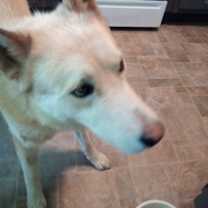 Thumbnail photo of Ron #2