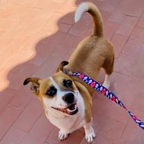 Thumbnail photo of Duby #1