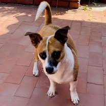 Thumbnail photo of Duby #3