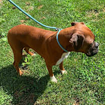 Thumbnail photo of Maggie #2