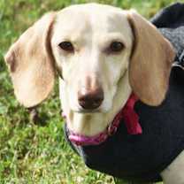 Thumbnail photo of Luna in KY #1