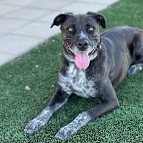 Thumbnail photo of Clover #1