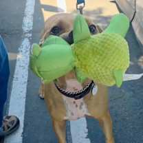 Thumbnail photo of Trooper #4