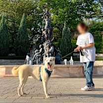 Thumbnail photo of Dugger (H) #4