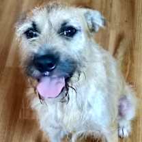 Thumbnail photo of Gertie #4