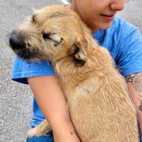 Thumbnail photo of Gertie #2