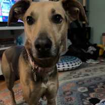 Thumbnail photo of Maggie #3