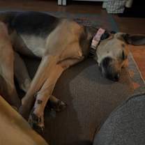 Thumbnail photo of Maggie #4