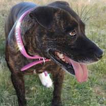 Thumbnail photo of Marabelle #2