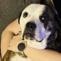 Thumbnail photo of Amos #1