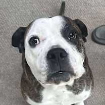 Thumbnail photo of Amos #2