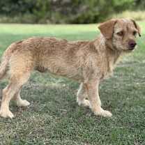 Thumbnail photo of Alex #2