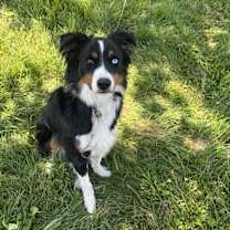 Thumbnail photo of Mixon #1