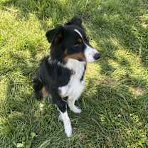 Thumbnail photo of Mixon #2