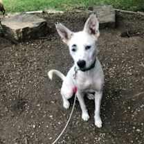 Thumbnail photo of Sugar #2