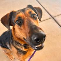 Thumbnail photo of Calli #2