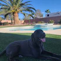 Thumbnail photo of Lucy #1