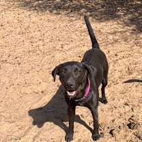 Thumbnail photo of Jade #3