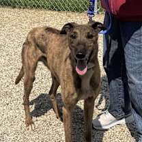 Thumbnail photo of Crackerjack #3