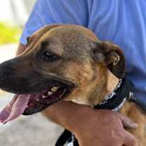 Thumbnail photo of SHEENA #1