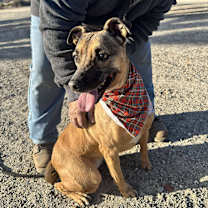 Thumbnail photo of SHEENA #3