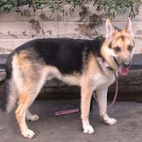 Thumbnail photo of OTTO #3