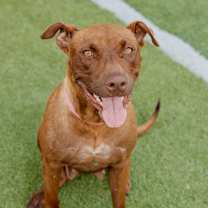 Thumbnail photo of Amaya #3