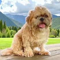 Thumbnail photo of Bryan #1