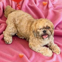 Thumbnail photo of Bryan #3