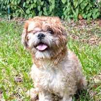 Thumbnail photo of Bryan #4