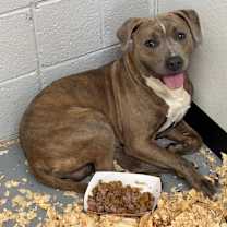 Thumbnail photo of Grant-Foster #2