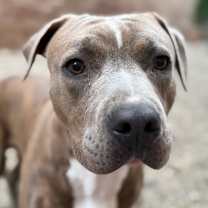 Thumbnail photo of Grant-Foster #3