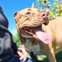 Thumbnail photo of Penny Brady #4