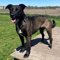 Thumbnail photo of Kia #3