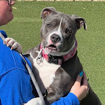 Thumbnail photo of Tiny #1