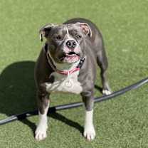 Thumbnail photo of Tiny #2