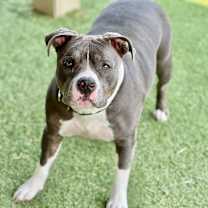 Thumbnail photo of Tiny #3