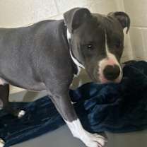 Thumbnail photo of Tiny #4