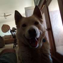 Thumbnail photo of Ron #3