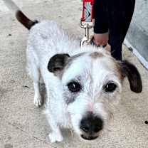 Thumbnail photo of Spot #1