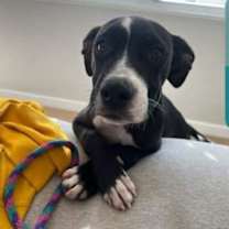 Thumbnail photo of Nicholas #3