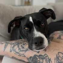 Thumbnail photo of Nicholas #4