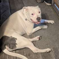 Thumbnail photo of Jax #3