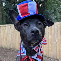 Thumbnail photo of Sadie #4