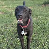 Thumbnail photo of Tanya #4