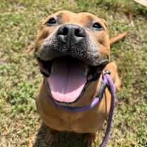 Thumbnail photo of Freyja #1