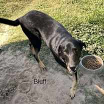 Thumbnail photo of Mosely #2