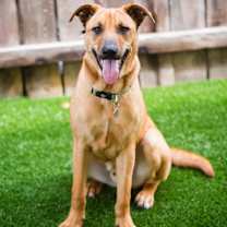 Thumbnail photo of Jonas #1